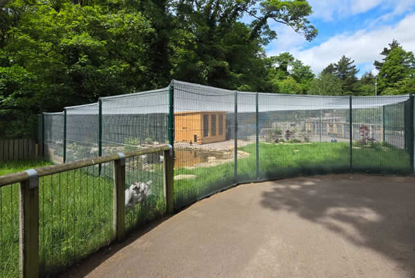 Aviary netting installation at a zoo or wildlife park