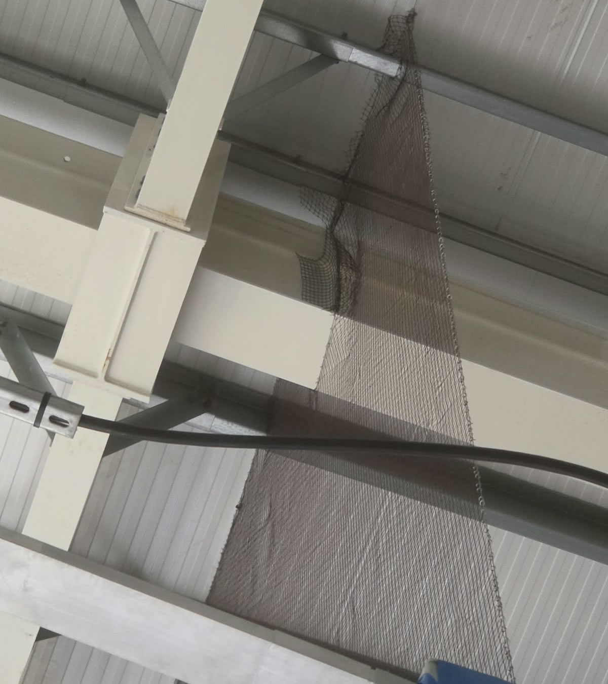 Sparrow netting fitted around structural steelwork and roof bracing