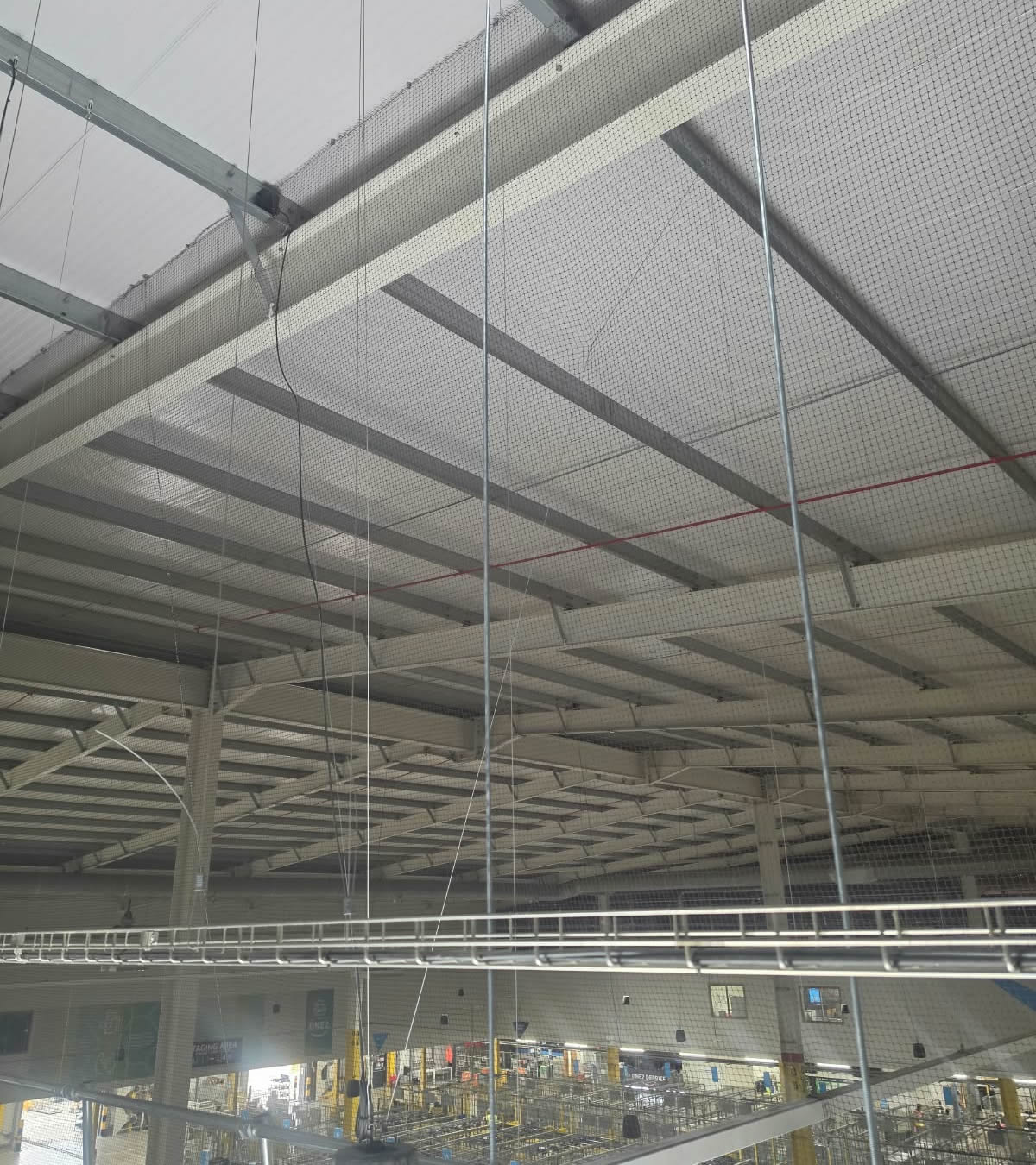 Completed bird netting barrier beneath the industrial roof steelwork