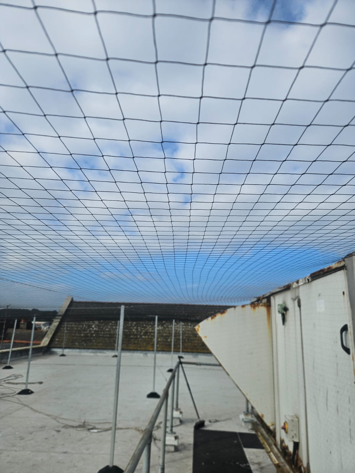 Gull Netting for Student Halls