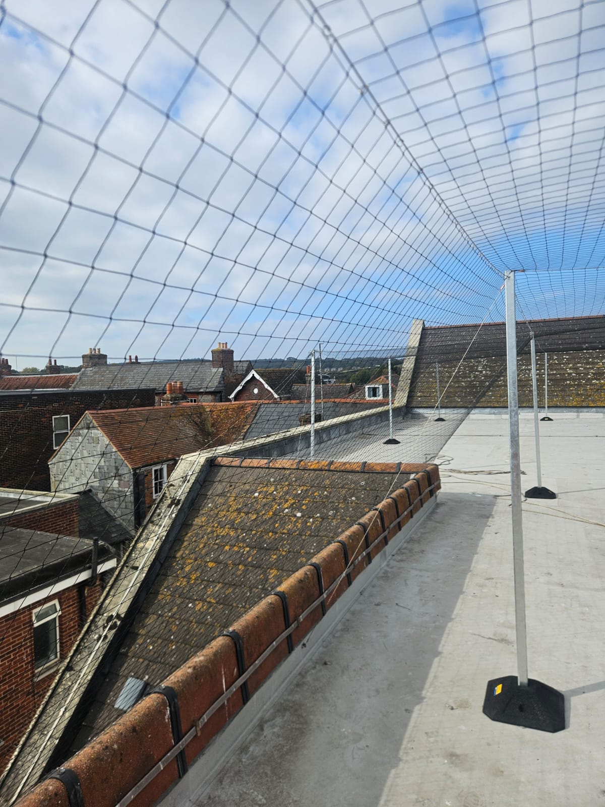 Gull Netting for Student Halls