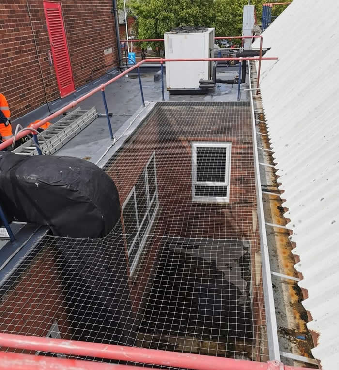 Bird netting installation in an inner-city setting